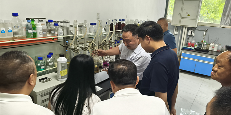 新闻资讯示例四