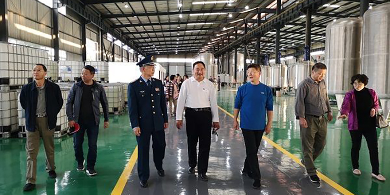 新闻资讯示例六