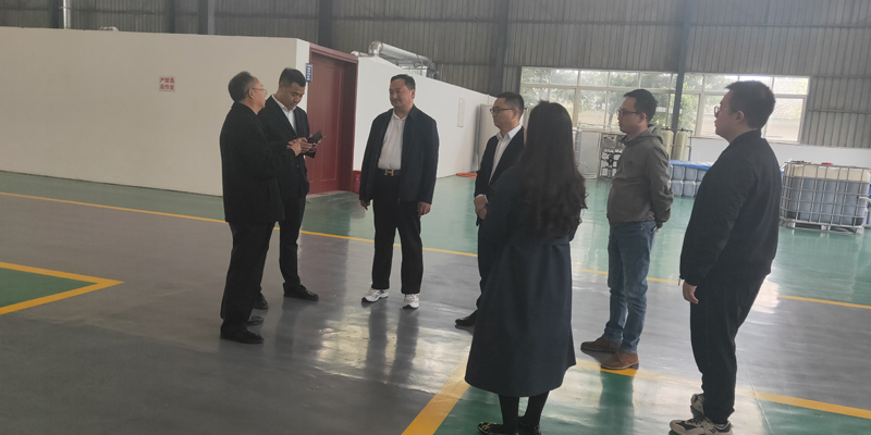 新闻资讯示例七