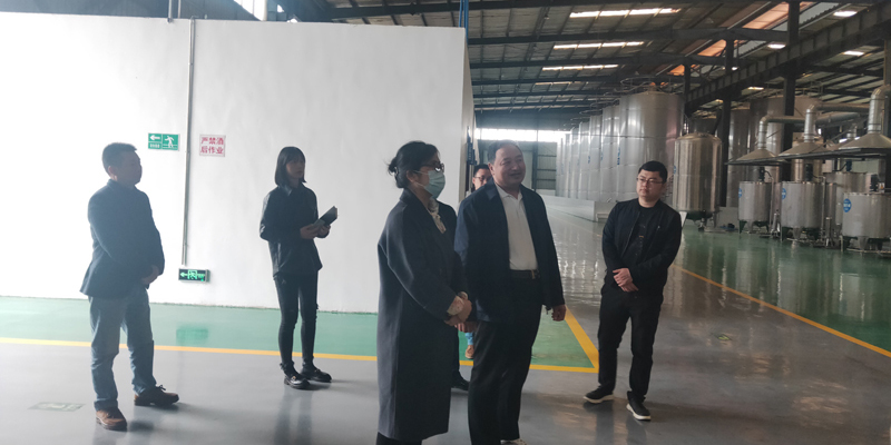 新闻资讯示例八